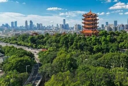 广州富足球比分-广州富力足球，赛场风云与比分背后的激情与梦想